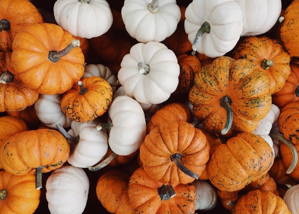 gourds, fall, autumn-2855925.jpg